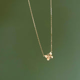 Cadena Mariposa