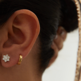 Aretes Roseta