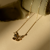 Cadena Mariposa