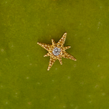 Aretes estrella oro 18kt