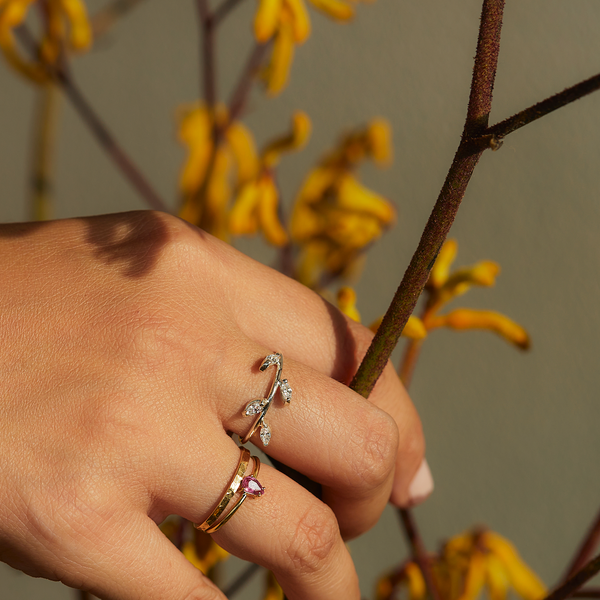 Anillo Ilari