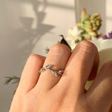 Anillo Ilari